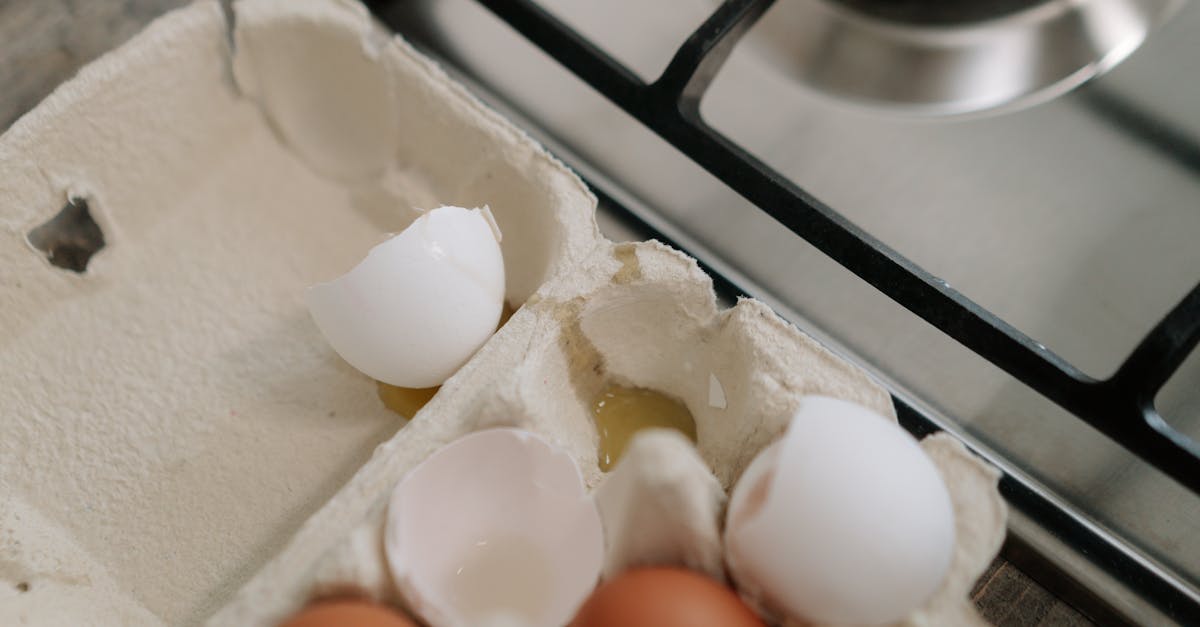 découvrez les nutriments essentiels nécessaires au bon fonctionnement de votre organisme ! apprenez l'importance des vitamines, minéraux et acides gras dans votre alimentation quotidienne pour maintenir une santé optimale.