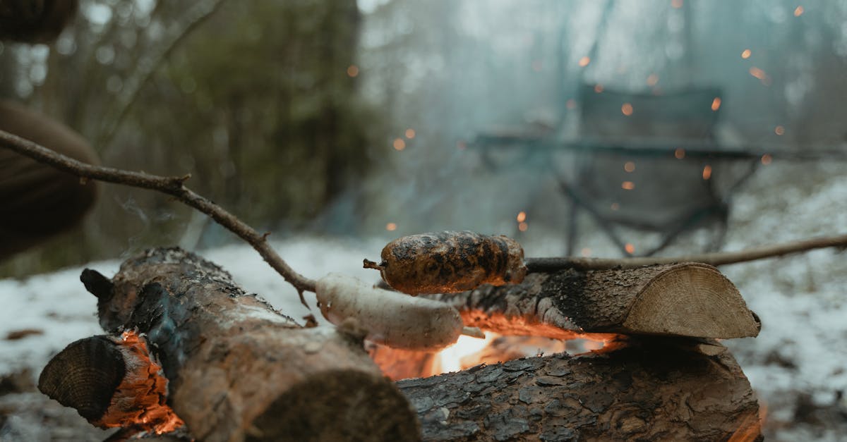 découvrez des moments inoubliables en famille grâce au camping. évadez-vous dans la nature, partagez des activités de plein air et créez des souvenirs précieux ensemble. parfait pour les aventuriers de tous âges!