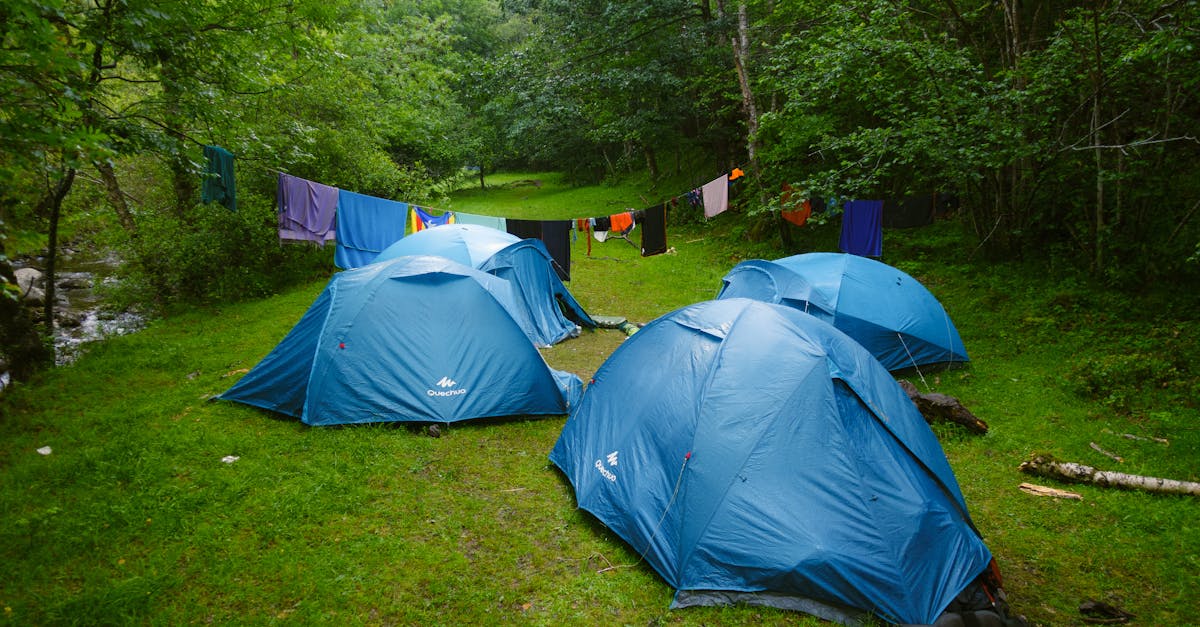 découvrez des conseils et des astuces pour un camping en famille inoubliable. profitez de la nature, des activités en plein air et des moments de partage avec vos proches lors de vos aventures en camping.