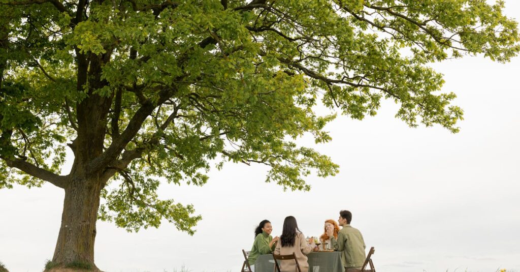 découvrez des recettes savoureuses et des idées pratiques pour des dîners en famille inoubliables. transformez vos repas en moments conviviaux grâce à nos astuces et conseils.