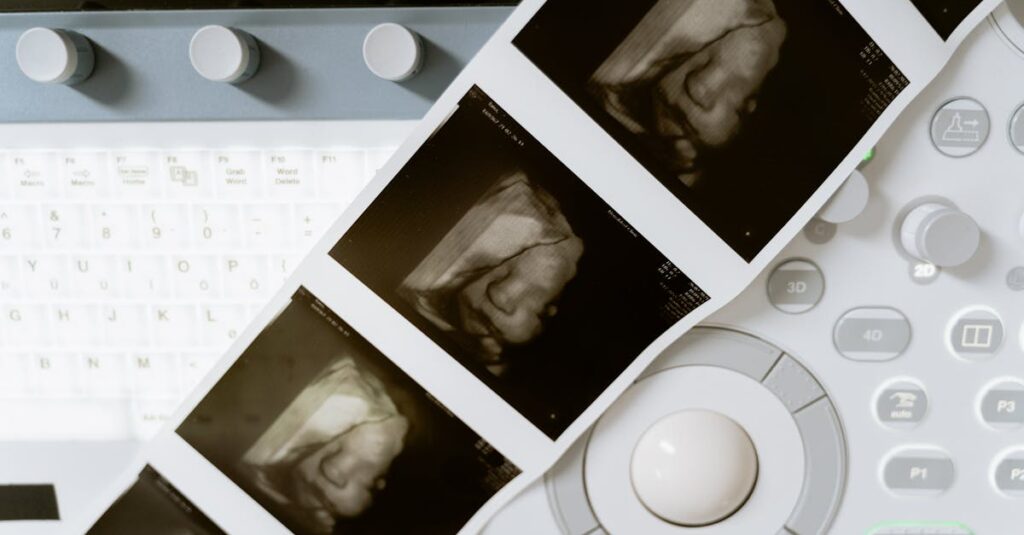découvrez l'univers fascinant du fœtus, son développement au cours de la grossesse, les aspects médicaux et scientifiques, ainsi que l'importance de chaque étape pour la santé de la mère et de l'enfant.