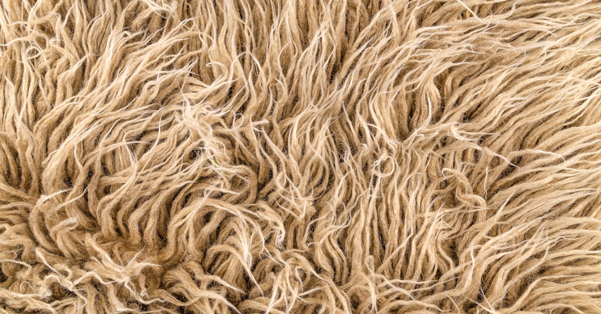 découvrez l'importance des fibres dans notre alimentation. apprenez comment elles favorisent une digestion saine, contribuent à la gestion du poids et améliorent votre bien-être général. explorez les meilleures sources de fibres et des conseils pratiques pour les intégrer facilement à vos repas.