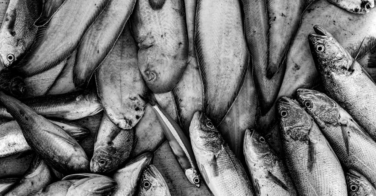 découvrez l'expérience unique du fish spa, où des poissons gommages offrent un soin relaxant et revitalisant pour vos pieds. offrez-vous une parenthèse de bien-être, alliant douceur et originalité, dans un cadre apaisant.