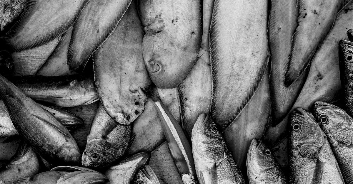 découvrez l'expérience unique du fish spa, un soin naturel pour vos pieds où des poissons-grenouilles effectuent un gommage doux tout en relaxant votre esprit. offrez-vous un moment de détente et de bien-être dans une atmosphère apaisante.