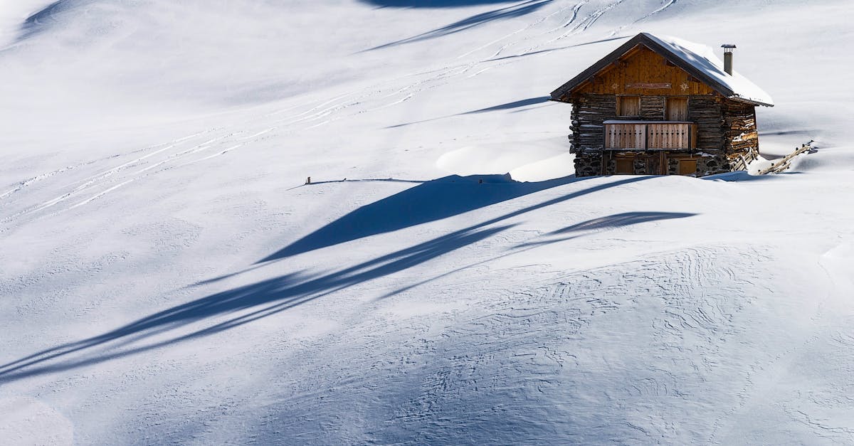 découvrez le monde intriguant de frostbite, un univers où le froid intense rencontre des aventures captivantes. plongez dans une expérience immersive mêlant mystère et défis sous un manteau de neige et de glace.