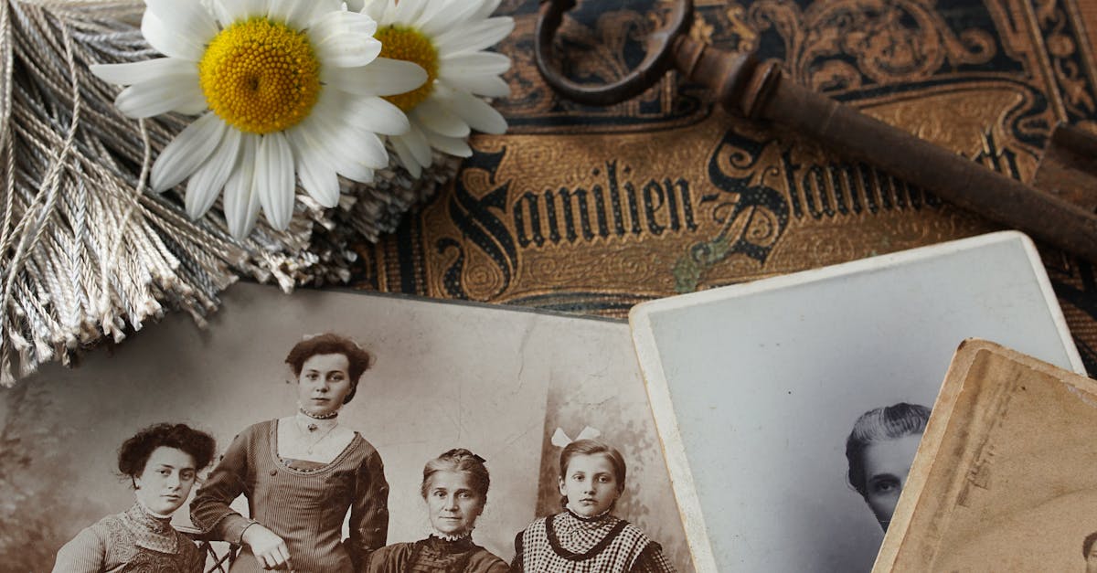 découvrez l'univers fascinant de la généalogie. explorez vos racines, retracez l'histoire de votre famille et connectez-vous avec vos ancêtres grâce à des ressources et des outils dédiés à la recherche familiale.