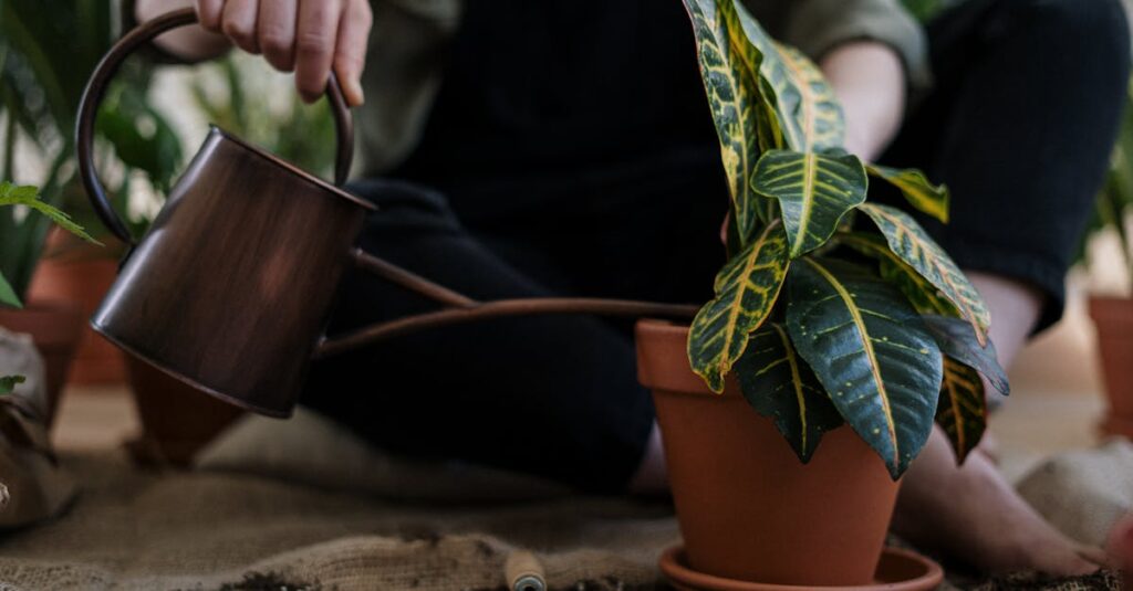découvrez les défis et les leçons des 'growing pains', ces moments de transition et de croissance qui façonnent notre personnalité et notre parcours. explorez comment surmonter les obstacles et s'épanouir face aux difficultés.