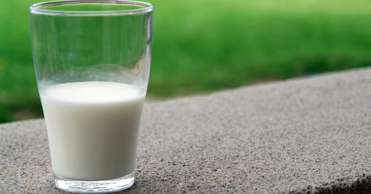découvrez nos délicieuses purées saines, préparées à partir d'ingrédients naturels et nutritifs. idéales pour un repas équilibré, elles raviront les papilles des petits et des grands tout en préservant la santé.
