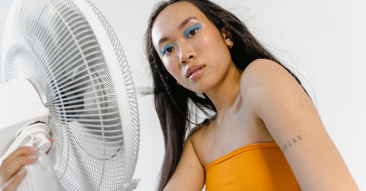 découvrez des solutions efficaces pour rafraîchir votre maison pendant les périodes de chaleur. apprenez à choisir et à optimiser votre système de climatisation, à utiliser des ventilateurs et à améliorer l'isolation de votre domicile pour un confort optimal.
