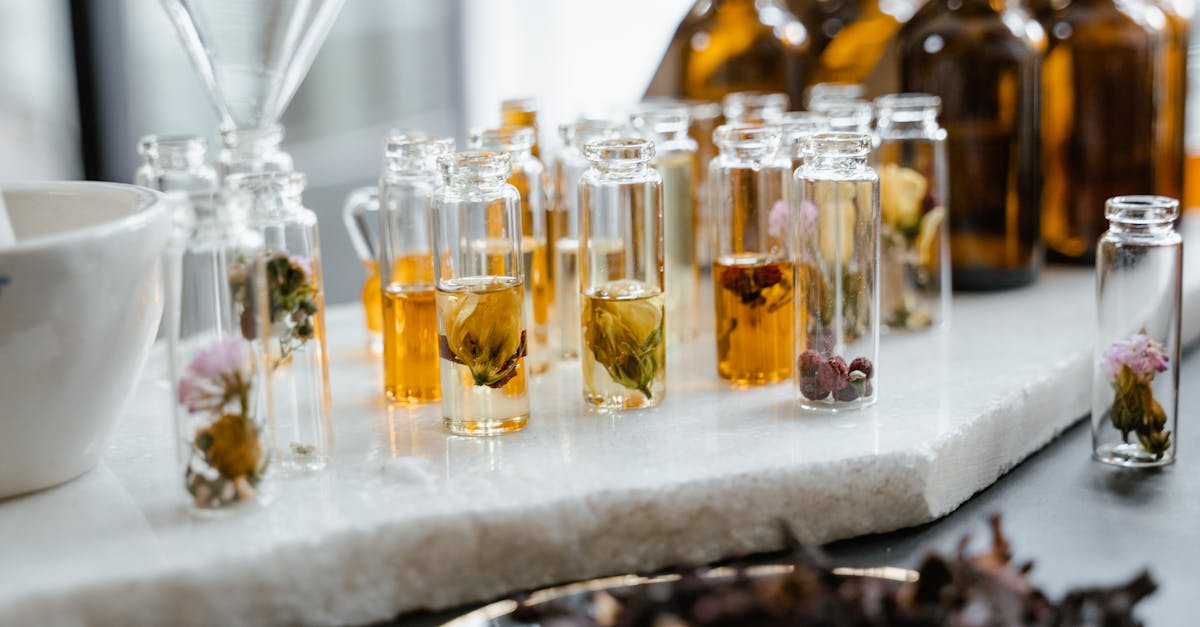 découvrez l'homéopathie, une approche douce et naturelle de la santé qui utilise des remèdes à base de principes dilués pour stimuler les capacités d'auto-guérison du corps. apprenez comment elle peut vous aider à gérer divers maux et améliorer votre bien-être au quotidien.