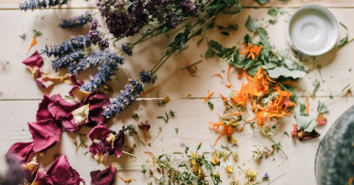 découvrez l'homéopathie, une approche douce et naturelle de la santé. apprenez comment elle peut aider à traiter divers maux, améliorer votre bien-être au quotidien et soutenir votre corps de manière holistique.