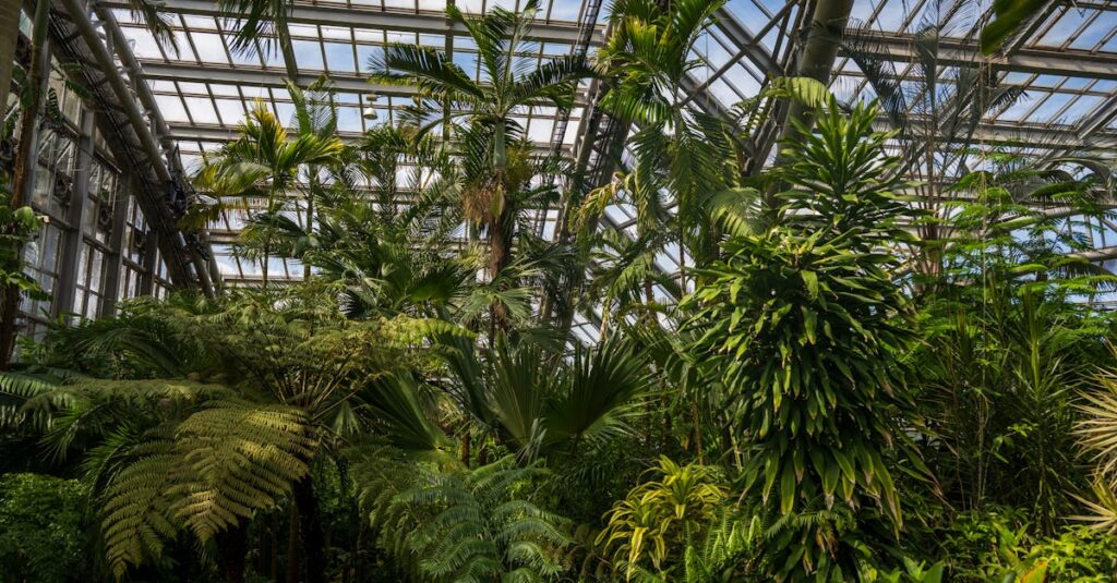 découvrez l'art du jardinage d'intérieur : des conseils pratiques, des astuces et des idées innovantes pour cultiver des plantes chez vous, même sans jardin. transformez votre espace de vie en un oasis vert tout en améliorant l'air et l'ambiance !