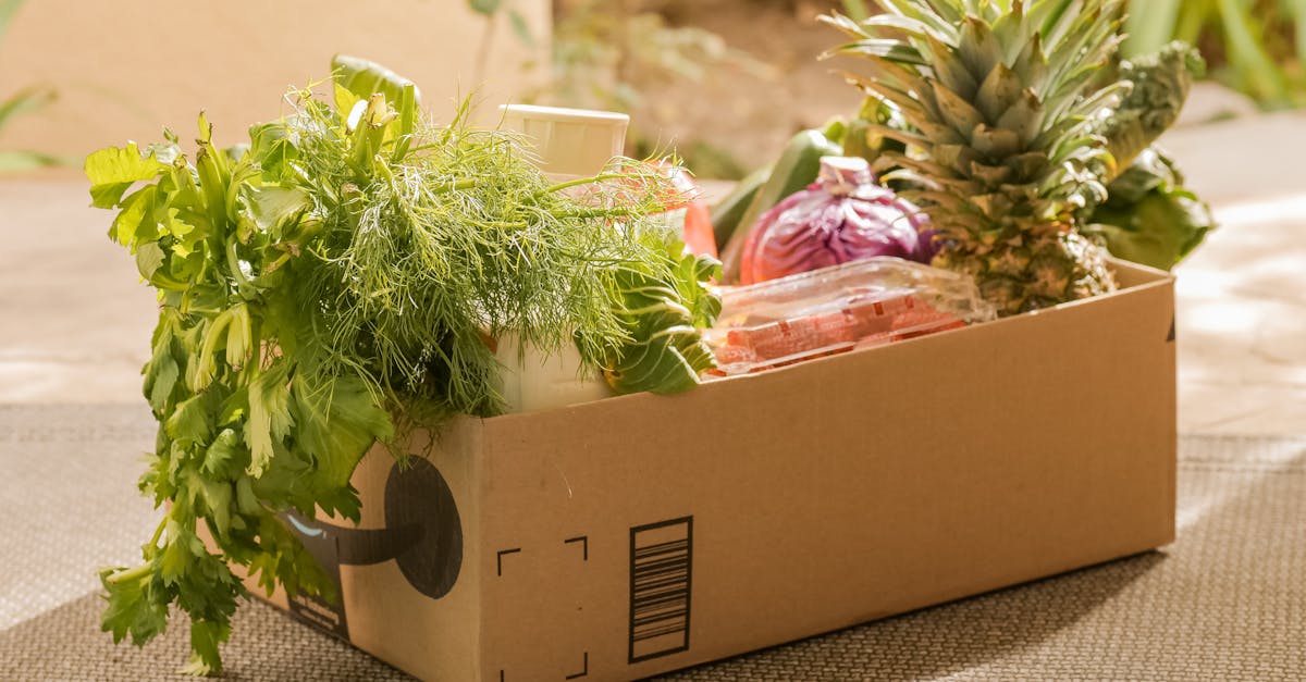 découvrez l'art du jardinage intérieur avec nos conseils pratiques et astuces pour cultiver des plantes chez soi. transformez votre espace en un oasis verdoyant, même sans jardin extérieur, et profitez des bienfaits d'un environnement intérieur plus sain et apaisant.