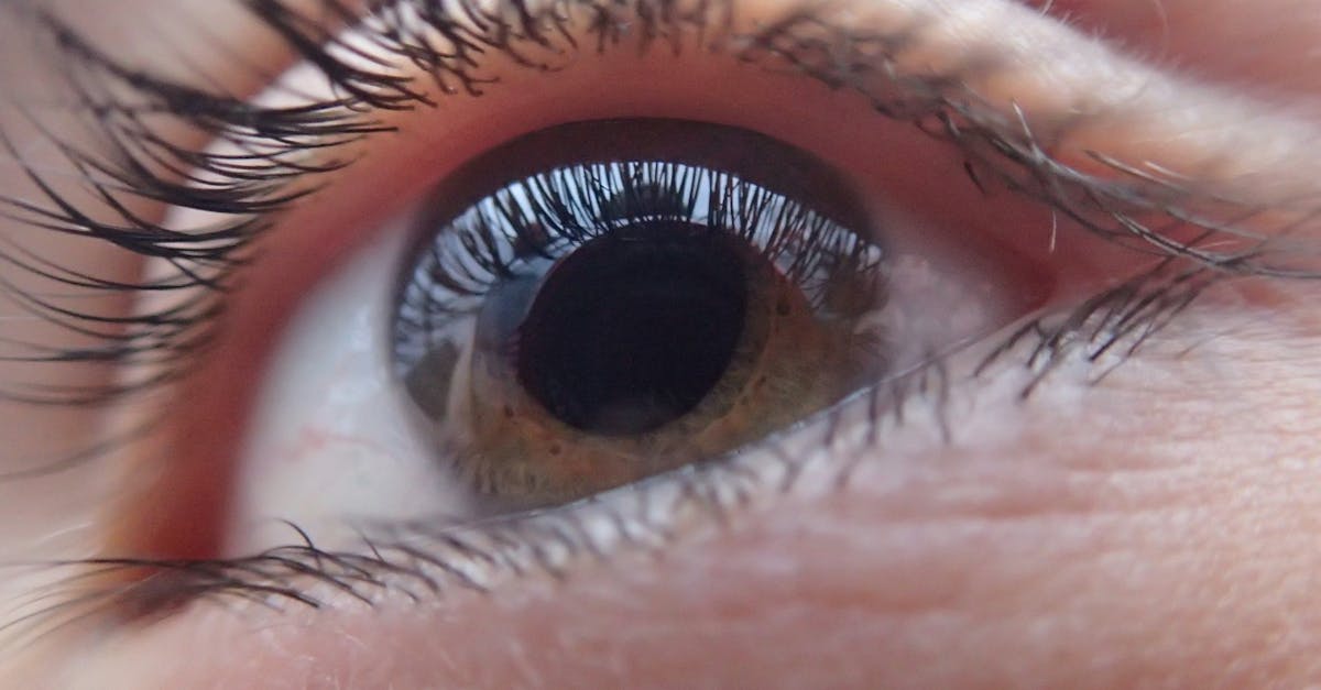 découvrez l'importance de la santé oculaire chez les nourrissons et les jeunes enfants. apprenez comment protéger et promouvoir le développement visuel dès les premiers mois de la vie.