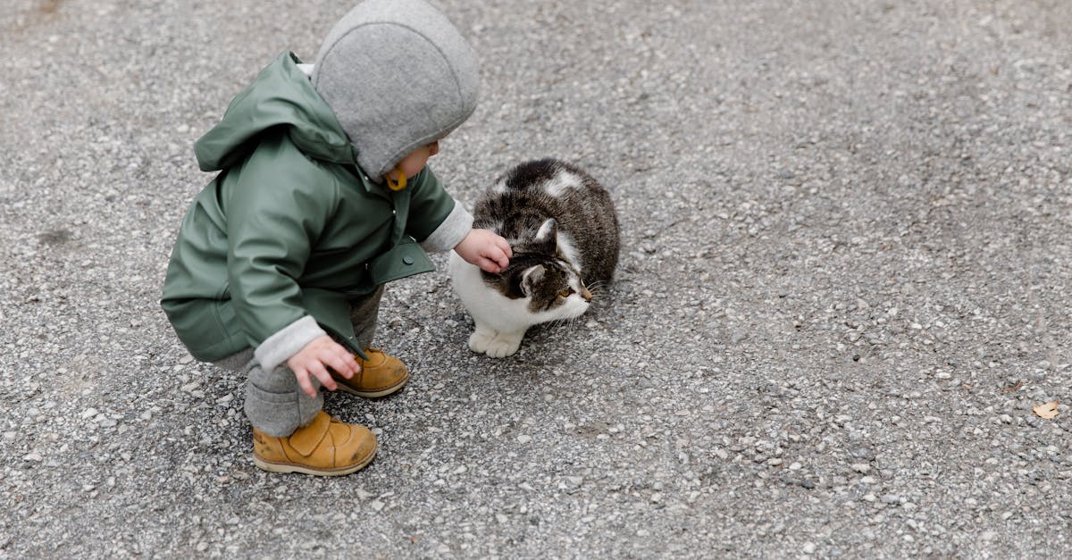 découvrez comment introduire votre bébé à votre chat en toute sécurité grâce à nos conseils pratiques et astuces. assurez une coexistence harmonieuse et sereine entre votre nourrisson et votre compagnon félin.