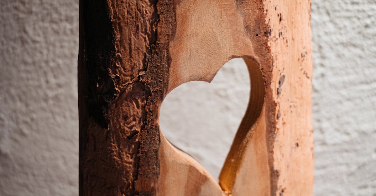 découvrez des déclarations d'amour touchantes et authentiques qui vous inspireront à exprimer vos sentiments les plus profonds. que ce soit pour un anniversaire, un anniversaire de mariage ou juste pour faire plaisir, trouvez les mots parfaits pour déclarer votre amour.