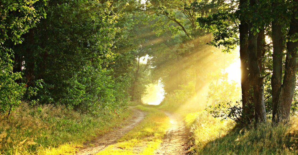 découvrez nos articles et conseils sur le mood : améliorez votre état d'esprit, trouvez l'inspiration et apprenez à influencer votre bien-être au quotidien.