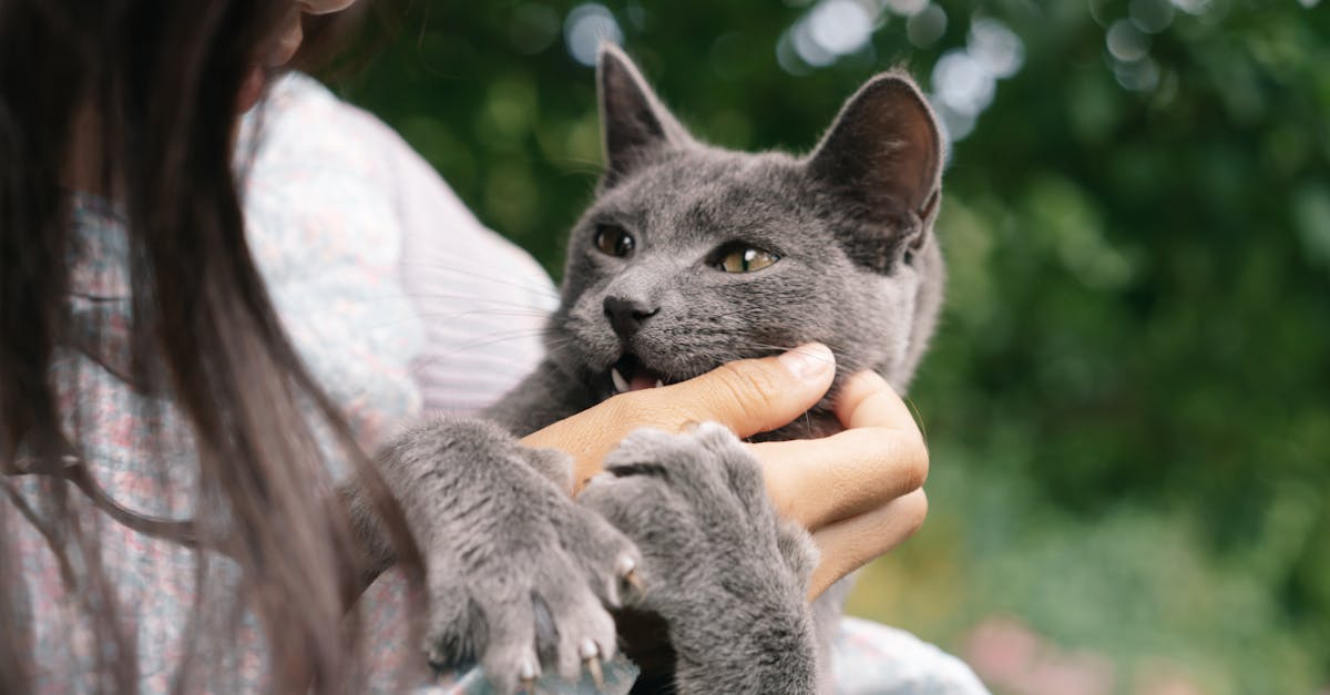 découvrez les causes et les solutions pour arrêter de ronger les ongles. apprenez des techniques efficaces pour vaincre cette habitude stressante et retrouvez des ongles sains et bien entretenus.