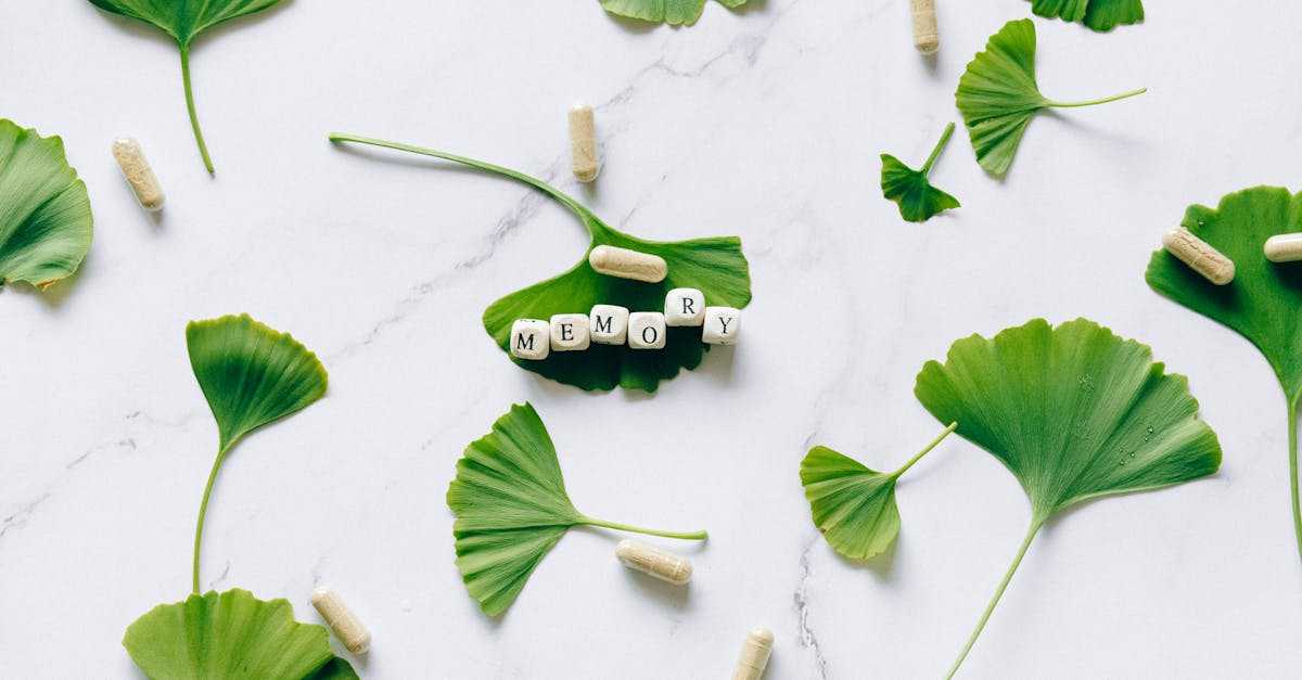 découvrez des remèdes naturels efficaces pour améliorer votre bien-être au quotidien. explorez des solutions à base de plantes, d'huiles essentielles et de techniques holistiques pour soulager vos maux et renforcer votre santé de manière douce et naturelle.