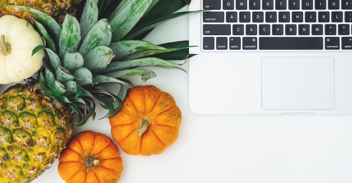 découvrez les secrets d'une nutrition équilibrée et saine. explorez des conseils pratiques, des recettes nutritives et des informations sur les groupes alimentaires pour améliorer votre bien-être au quotidien.