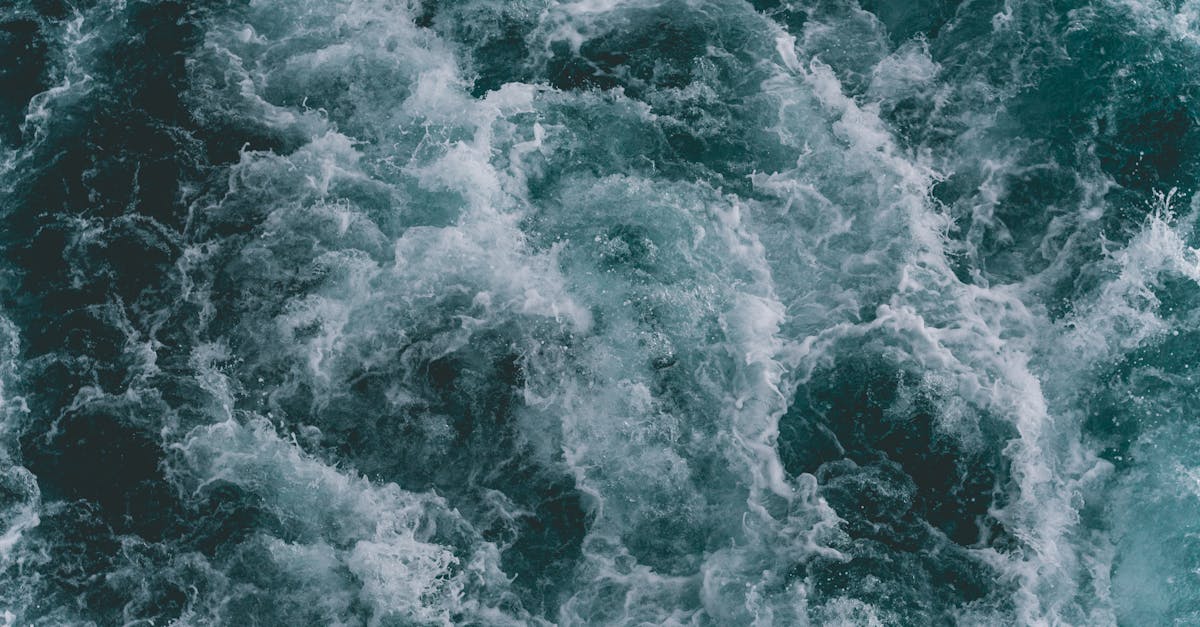 découvrez la majesté de l'océan, un vaste monde rempli de mystères, de biodiversité et de beautés naturelles. plongez dans les profondeurs des mers pour explorer la vie marine fascinante et les paysages sous-marins époustouflants.
