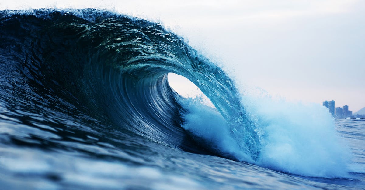 découvrez l'immensité des océans, véritables trésors de biodiversité et d'équilibre écologique. plongez dans des paysages marins fascinants, explorez la vie sous-marine et apprenez l'importance de préserver ces écosystèmes vitaux pour notre planète.