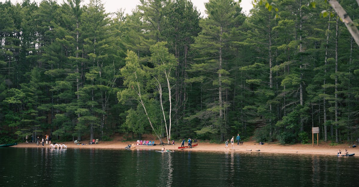 découvrez une multitude d'activités de plein air qui vous permettront de vous reconnecter avec la nature. que ce soit la randonnée, le vtt, l'escalade ou la pêche, explorez des idées et des conseils pour profiter pleinement de vos escapades en extérieur.