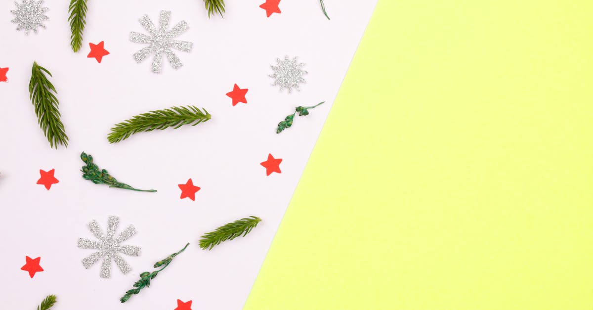 découvrez l'art des flocons de neige en papier ! apprenez à créer des décorations hivernales uniques et charmantes qui apporteront une touche festive à votre intérieur. idéal pour les enfants et les adultes, cet atelier créatif vous guidera à travers des techniques simples pour réaliser de magnifiques flocons à suspendre ou à utiliser dans vos décorations. laissez libre cours à votre imagination et illuminez votre maison avec ces créations personnalisées.