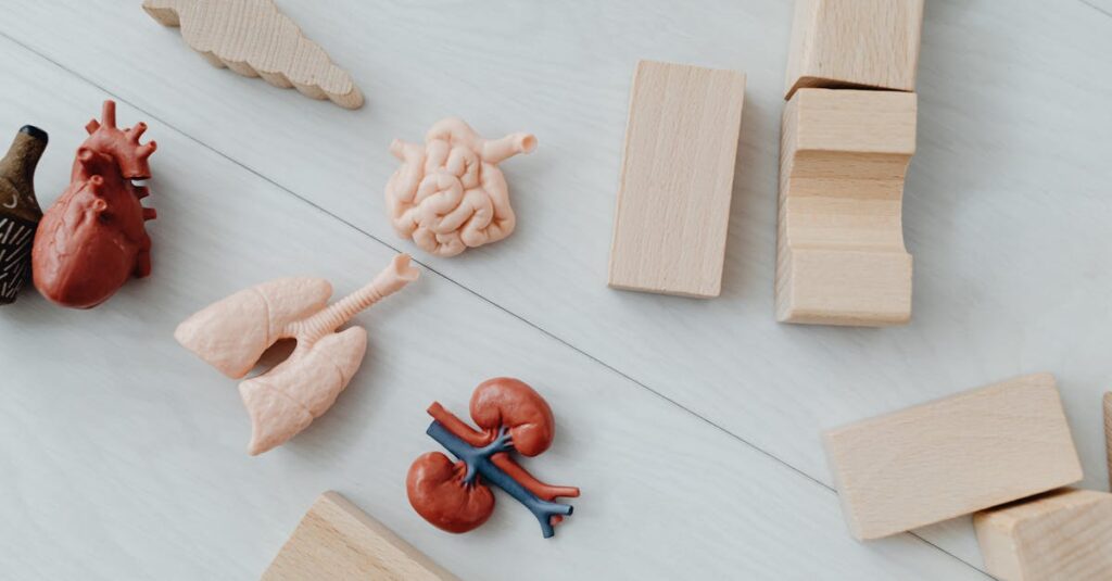 découvrez l'ostéopathie pédiatrique, une approche douce et naturelle qui aide à soulager les douleurs et les tensions chez les enfants. apprenez comment cette pratique favorise le bien-être et le développement harmonieux des tout-petits, tout en offrant un soutien aux parents pour une meilleure santé familiale.