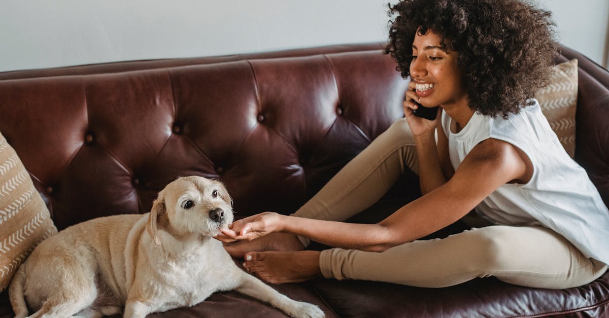 découvrez les meilleurs noms de pets pour votre compagnon à quatre pattes ! que vous ayez un chien, un chat, ou un animal exotiques, trouvez l'inspiration idéale pour donner un nom unique et affectueux à votre fidèle ami.