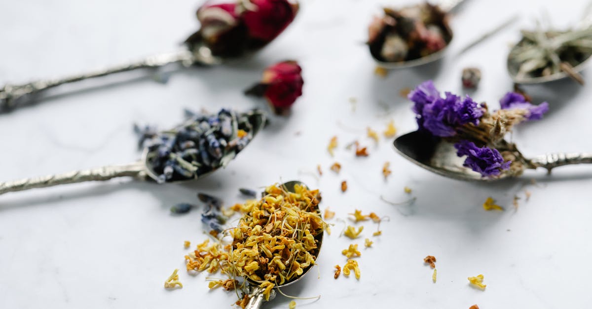 découvrez l'univers enivrant du potpourri, un mélange parfumé de fleurs séchées et d'épices, idéal pour égayer votre intérieur et créer une ambiance chaleureuse. apprenez à réaliser votre propre potpourri avec des ingrédients naturels et laissez-vous séduire par ses bienfaits aromatiques.