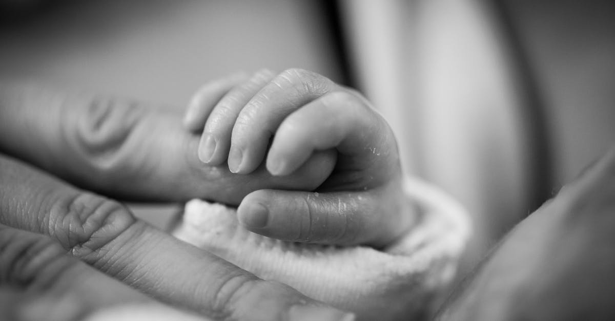 découvrez notre sélection unique de prénoms précieux, alliant élégance et signification. trouvez l'inspiration pour nommer votre enfant avec des options authentiques et mémorables.
