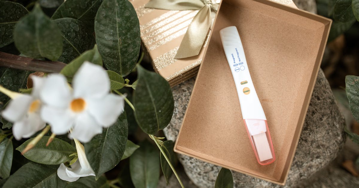 découvrez tout ce qu'il faut savoir sur les tests de grossesse : comment ça fonctionne, quand faire le test et les différentes options disponibles pour confirmer votre grossesse avec précision.