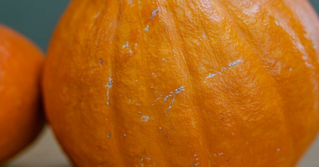 venez vivre une expérience automnale inoubliable avec la cueillette de citrouilles ! découvrez notre ferme familiale, explorez nos champs de citrouilles colorées et choisissez la parfaite pour vos décorations d'halloween. un plaisir pour les petits et les grands !
