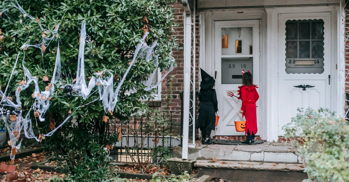découvrez notre sélection de costumes d'halloween effrayants qui feront frémir vos amis et élevera l'esprit de la fête. que vous recherchiez un look terrifiant, un déguisement de monstre classique ou une touche d'horreur moderne, nos costumes effrayants sont parfaits pour halloween. préparez-vous à surprendre et à attirer tous les regards lors de votre soirée d'halloween !