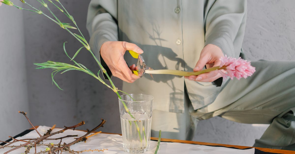 découvrez notre guide complet sur les problèmes de peau : causes, symptômes et solutions efficaces pour traiter l'acné, l'eczéma, le psoriasis et bien d'autres affections cutanées. prenez soin de votre peau et retrouvez un teint éclatant.