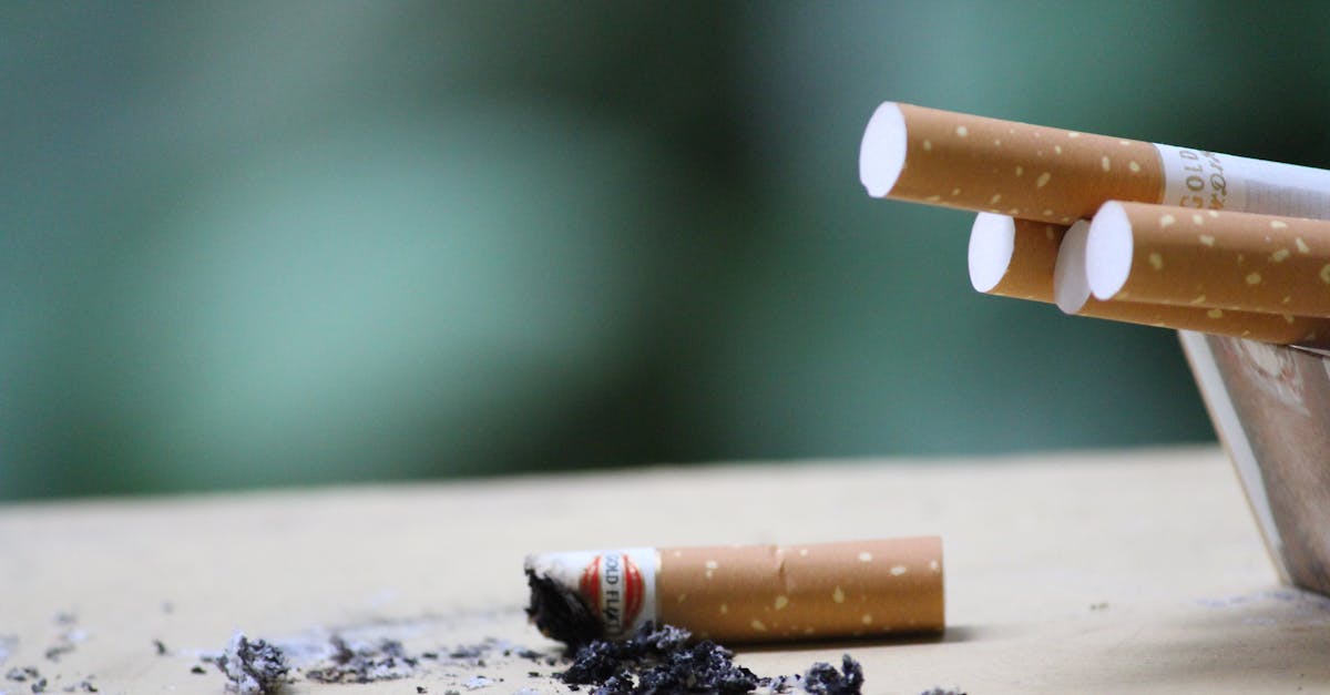 découvrez l'élégance intemporelle du smoking, un incontournable de la mode masculine, parfait pour les soirées chic et les événements spéciaux. apprenez comment choisir, porter et accessoiriser ce vêtement emblématique pour un look sophistiqué et raffiné.