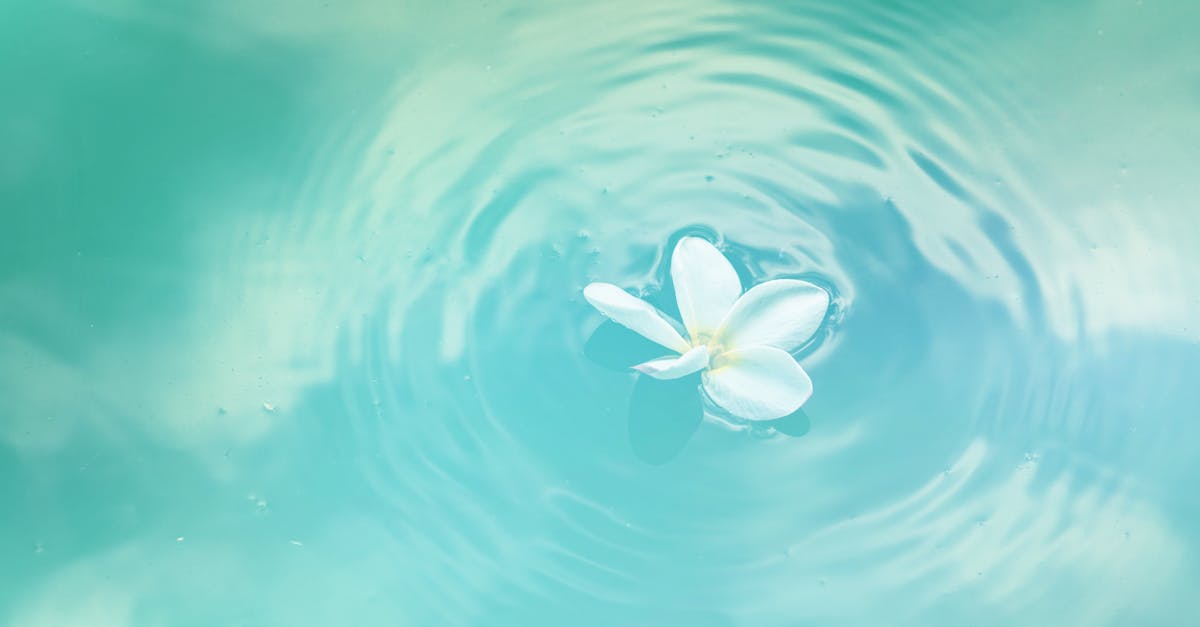 découvrez l'art de la détente avec notre guide sur les techniques apaisantes. apprenez à réduire le stress et à trouver la sérénité grâce à des astuces et des pratiques simples pour un bien-être optimal.