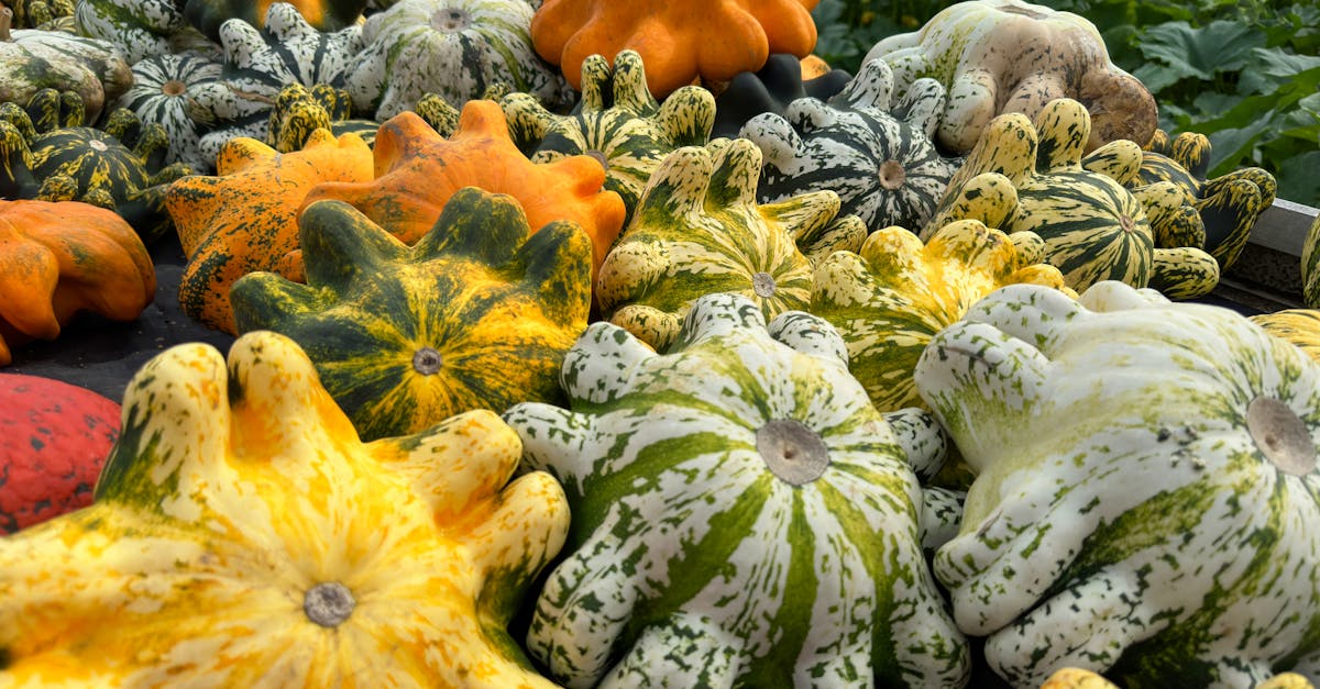 découvrez les délicieuses squash fries, une alternative saine et savoureuse aux frites traditionnelles. préparées à partir de courges tendres et assaisonnées avec soin, ces frites croustillantes séduiront vos papilles tout en apportant une touche originale à vos repas.