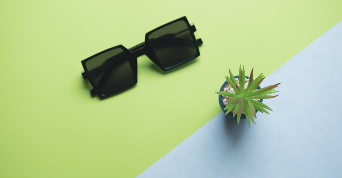 découvrez notre sélection de lunettes de soleil tendance et protectrices. que ce soit pour la plage, la montagne ou la ville, trouvez le modèle parfait qui allie style et confort.