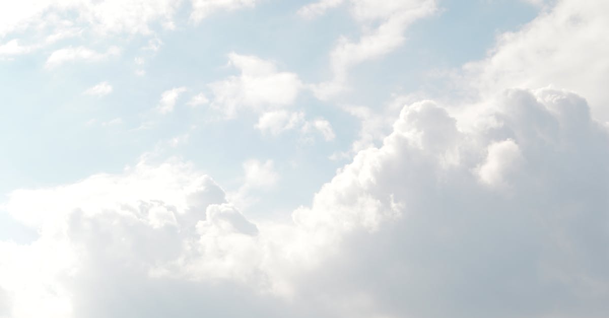 découvrez l'importance et l'impact de la lumière du soleil sur notre planète, de son rôle essentiel dans la photosynthèse à ses bienfaits sur notre santé et notre bien-être. explorez les différentes facettes de cette source lumineuse essentielle qui influence notre quotidien.