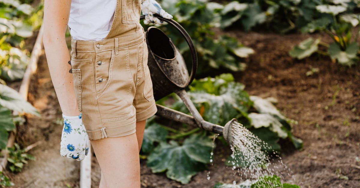 découvrez les causes, les effets et les solutions efficaces pour aider votre enfant à arrêter de sucer son pouce. informez-vous sur les conseils pratiques et les ressources pour accompagner cette étape de développement.