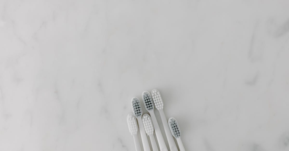 découvrez l'importance du brossage des dents pour une hygiène bucco-dentaire optimale. apprenez les techniques efficaces, les meilleures pratiques et les conseils pour maintenir un sourire éclatant et en bonne santé.