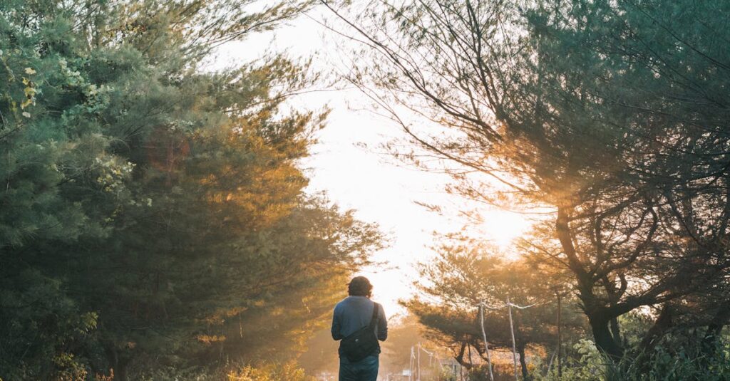 découvrez les bienfaits de la marche pour la santé et le bien-être. explorez nos conseils pour intégrer cette activité simple et revitalisante dans votre quotidien, tout en profitant des paysages et de la nature.