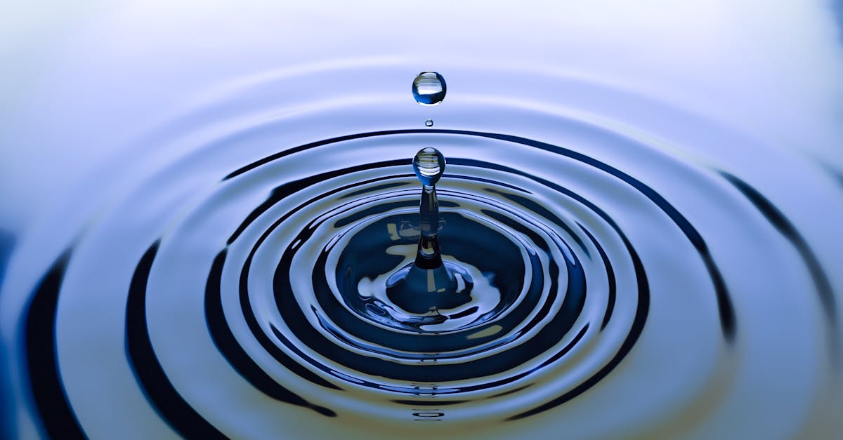 découvrez l'importance de l'eau, cette ressource essentielle à la vie. explorez ses propriétés uniques, ses rôles dans notre environnement et les enjeux liés à sa conservation. informez-vous sur des pratiques durables pour protéger cette précieuse ressource.