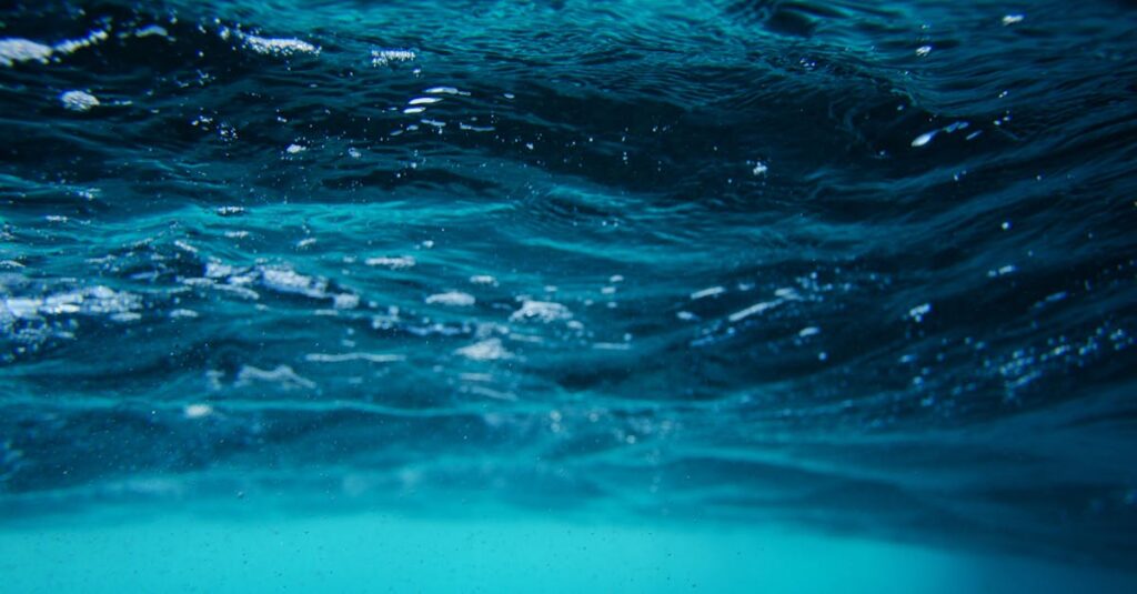 découvrez l'importance de l'eau pour la vie sur terre, ses propriétés uniques, ainsi que son rôle essentiel dans notre environnement et notre santé. explorez les enjeux de la gestion de cette ressource précieuse et apprenez comment la préserver pour les générations futures.