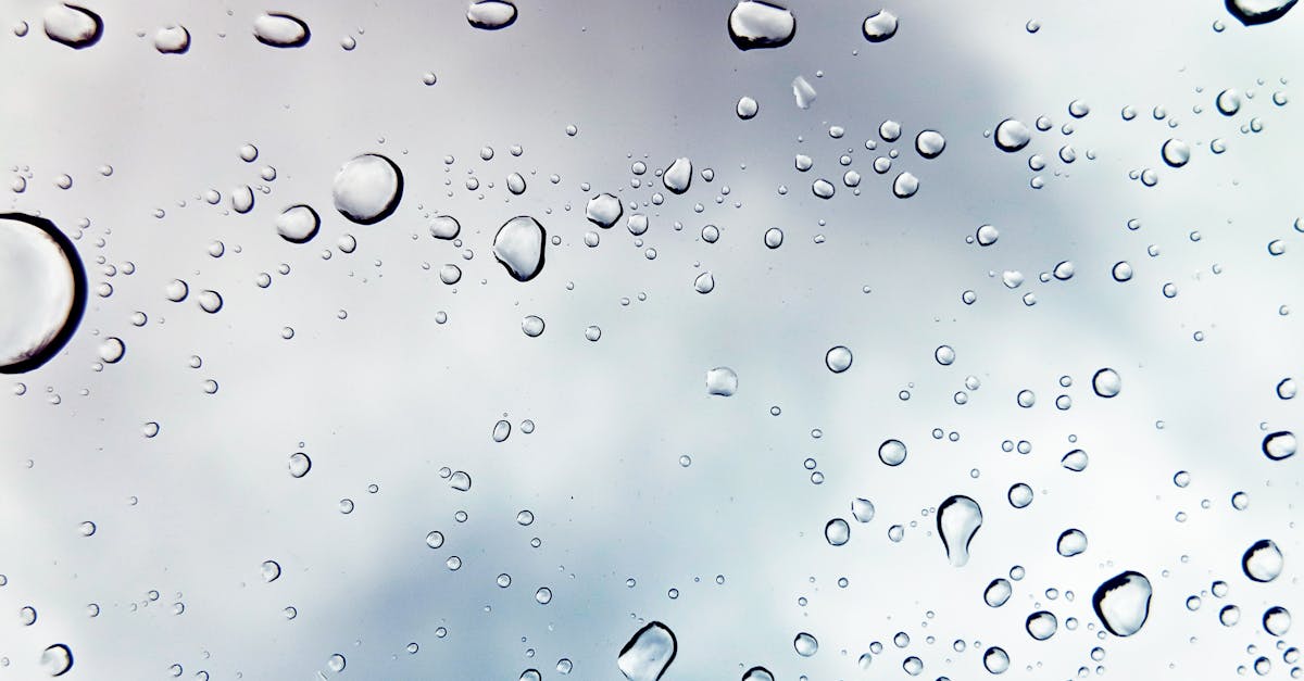 découvrez l'importance de l'eau, une ressource essentielle pour la vie. apprenez-en davantage sur ses propriétés, son rôle dans l'environnement et des conseils pour préserver cette précieuse ressource naturelle.