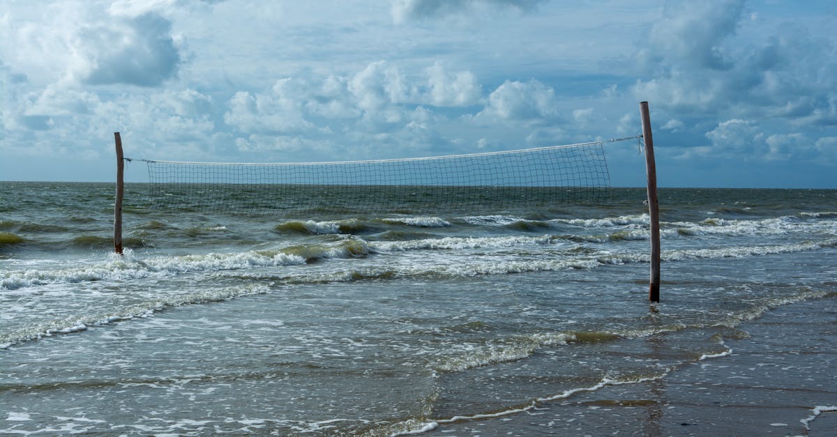 découvrez une sélection amusante et rafraîchissante de jeux d'eau parfaits pour l'été ! que vous soyez à la plage ou dans votre jardin, plongez dans des activités aquatiques variées qui raviront petits et grands. amusez-vous tout en vous rafraîchissant !
