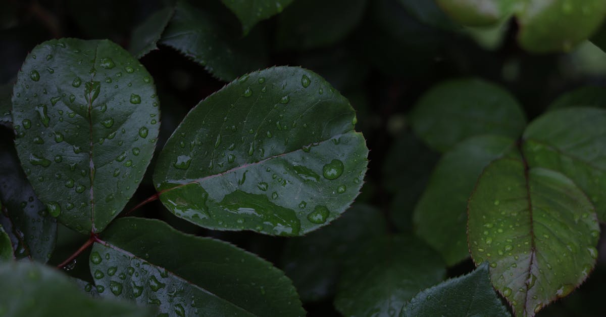 découvrez les causes et les solutions pour lutter contre la rétention d'eau. apprenez comment améliorer votre bien-être et réduire l'inconfort lié à cette condition fréquente.